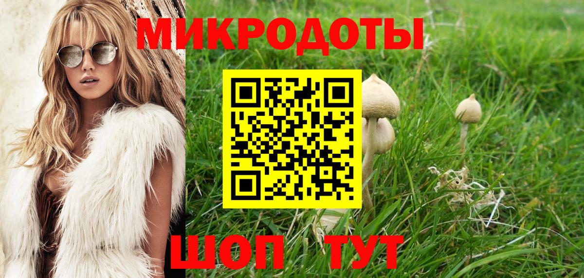 Галлюциногенные грибы прущие грибы  Галлюциногенные грибы мухоморы  Вход с VPN  Баксан 