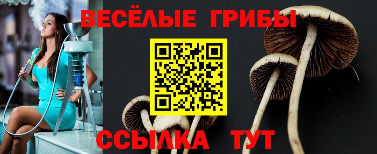 Галлюциногенные грибы Cubensis Баксан